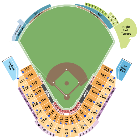 George M. Steinbrenner Field Rays Seating Chart